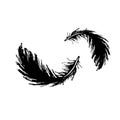 Feather bird drawing Ãâ¬attern ÃÂ°eathers set